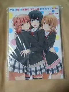 俺ガイル やはり俺の青春ラブコメはまちがっている 特典小説 another