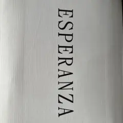 【新品】【超美品】【値下げ】エスペランザ　ブーツ