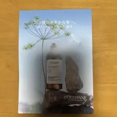 L'OCCITANE シャンプー、コンディショナー4点