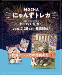 猫カフェmocha 2026 夏トレカ 三宮店】 - メルカリ