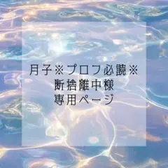 2026年最新】プロフ必読様専用の人気アイテム - メルカリ