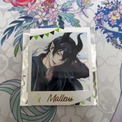 ツイステ　フォト風カードコレクション　くつろぎマイルーム　マレウス