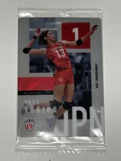 和田由紀子 バレーボール日本代表 トレーディングカード