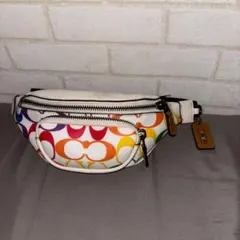 ⭐︎美品⭐︎COACH ウエストバッグ　CJ682