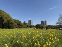 C 씨 전용