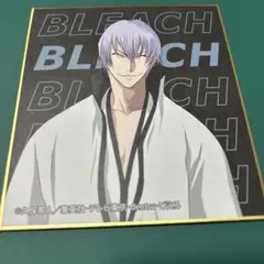 BLEACH トレーディングミニ色紙 市丸ギン
