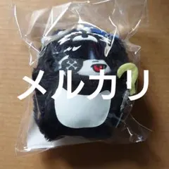 Crazy Raccoon CR フレンズ friends mondo