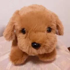 Item thumbnail for item c7ca93c1-9684-485b-a567-cbe8c0d3b4f9