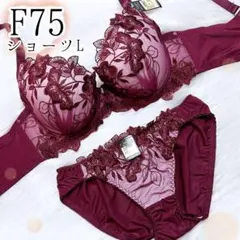 F75脇高セクシーローズ（黒）♥️ブラジャーショーツセット♥️エメフィール系可愛い
