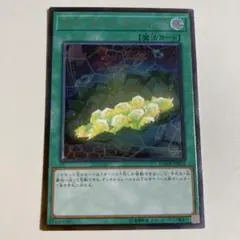 2026年最新】サイバネット・マイニング レリーフの人気アイテム - メルカリ