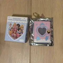 ディズニープリンセス　オーロラ　ミニアルバムキーチェーン