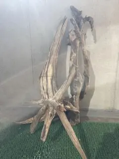 縁起物】天然木 鶴と亀 置物 オブジェ 流木 瘤木 床の間飾り 骨董