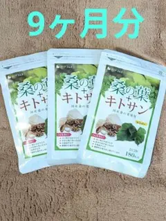 新品　桑の葉　キトサン　3個セット　桑の葉茶　シードコムス　桑茶