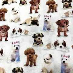 輸入生地 Diva Pups 総柄