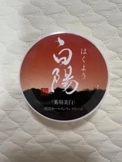 白陽 朝用オールインワンクリーム 40gのサムネイル