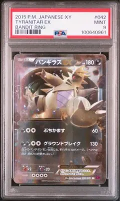 2026年最新】バンギラス psa10の人気アイテム - メルカリ