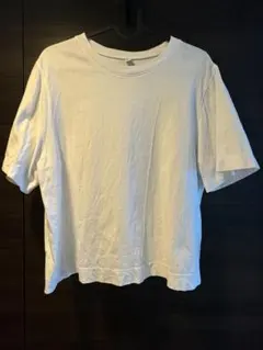 Item thumbnail for item 94cf686f-4517-4277-b469-1380fa96acda