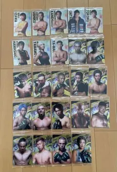 Item thumbnail for item b57627af-7054-43f5-ace0-a6ac4973f21f