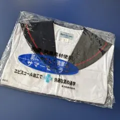 Item thumbnail for item 17cdd0de-cbda-4439-94ac-f8a73fdf2e34