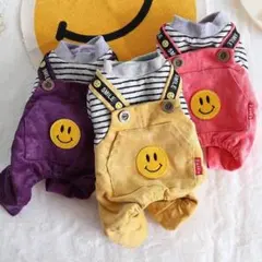 Item thumbnail for item 1b345097-67b6-472b-94b0-0e1955172af8