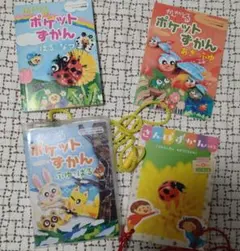 Item thumbnail for item 27484219-5819-4ccd-9584-8cb7161404e6