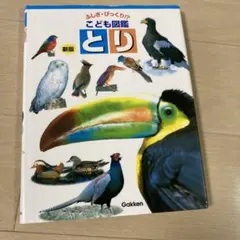 Item thumbnail for item 8b1dcdd6-7f03-404b-a530-8cd015e05217