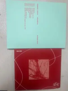 ENHYPEN アルバム　2冊セット