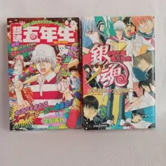 ​銀魂 2冊セット「銀魂五年生」＆「3年Z組銀八先生」公式キャラブック・小説