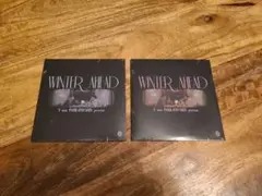☆お値下げしました☆WINTER AHEAD V 2枚セット