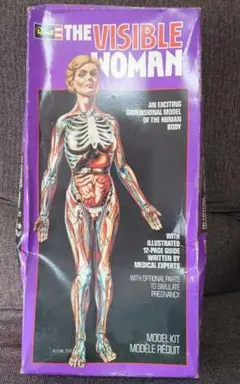 Item thumbnail for item b970e860-ec4f-46b8-be8e-7982268634ba