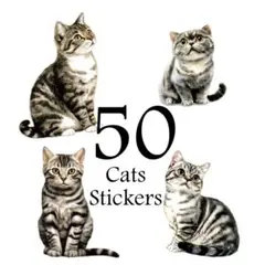 ステッカー　猫A　50種50枚　紙素材シール　ネコのシール　コラージュ素材