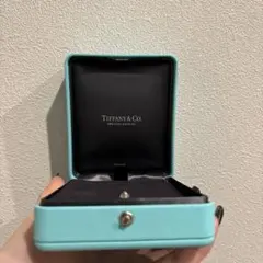 【Tiffany Co ネックレスケース】