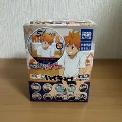 未開封 1BOX ハイキュー カラパレ 缶バッジ 掃除　ハイキュー!!