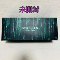 2025年最新】マトリックス センチネルの人気アイテム - メルカリ