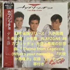 2025年最新】少年隊 PLAYZONE'88 カプリッチョ-天使と悪魔の狂想曲-の