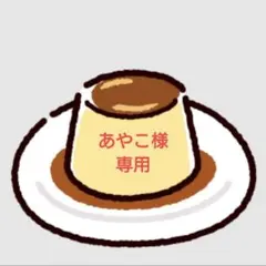 あやこ様専用 プルームオーラフロントパネル