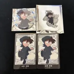 忍たま乱太郎 忍たま てんぼうパーク 土井半助 土井先生 チャーム 缶バッジ