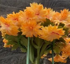 tomirio様 リクエスト 2点 まとめ商品