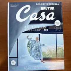 CasaBRUTUSカ-サブル-タス 見逃せないアート100 2024年11月号