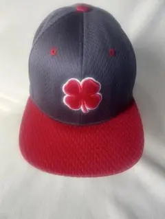 Item thumbnail for item 8f4b8099-e0e5-4a7e-bfbb-c81d82856e61