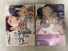 舐める以上は契約外なので！　舐めて、噛んで、キスをして
