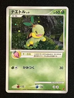 ナエトル P 第5期プレイヤーズけいけんち2000~2900EXPプレゼントカ