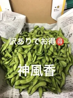 明日朝収穫！発送！茶豆風味の枝豆のサムネイル