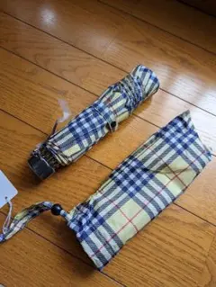 Item thumbnail for item 07827af5-09a9-4153-8cde-461e9f635978