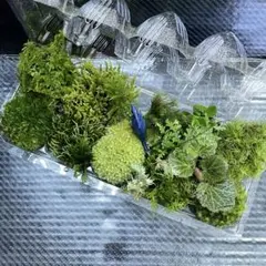 ccc様 リクエスト 2点 まとめ商品