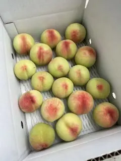 摘果桃　3kgのサムネイル