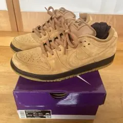 Nike SB Dunk Low Pro 