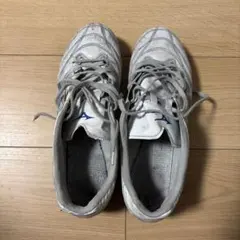 モナルシーダ