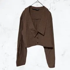 13346 ZARA ギンガムチェック柄 ショート丈ブラウス クロップド丈 S