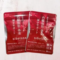 2026年最新】sibolossの人気アイテム - メルカリ
